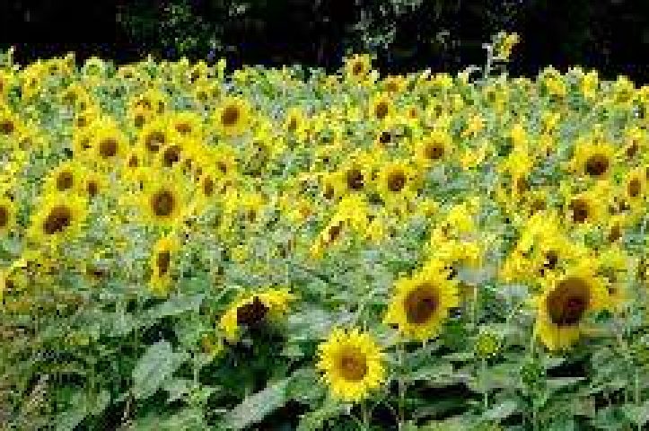 The Comedy Club in Pole Position at the Brands Hatch Mecure Hotel